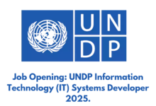 Job Opening: UNDP Information Technology (IT) Systems Developer 2025.