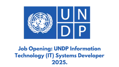 Job Opening: UNDP Information Technology (IT) Systems Developer 2025.