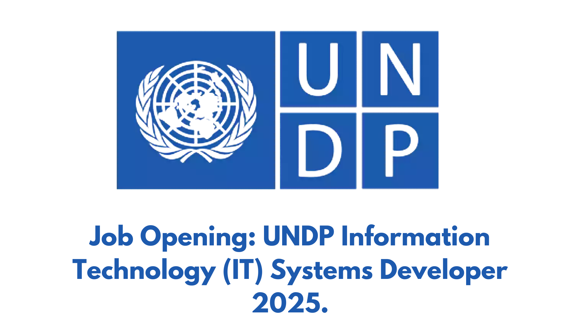 Job Opening: UNDP Information Technology (IT) Systems Developer 2025.