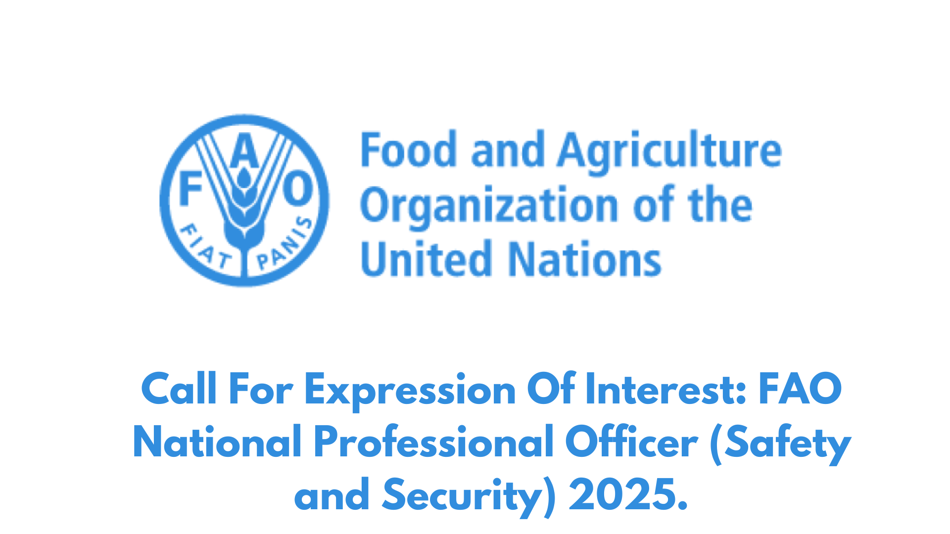 Call For Expression Of Interest: FAO National Professional Officer (Safety and Security) 2025.