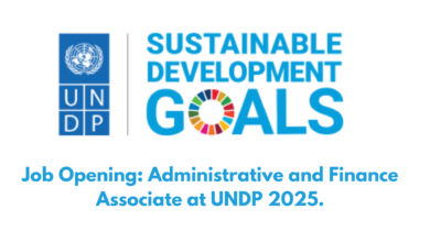 Job Opening: Administrative and Finance Associate at UNDP 2025.