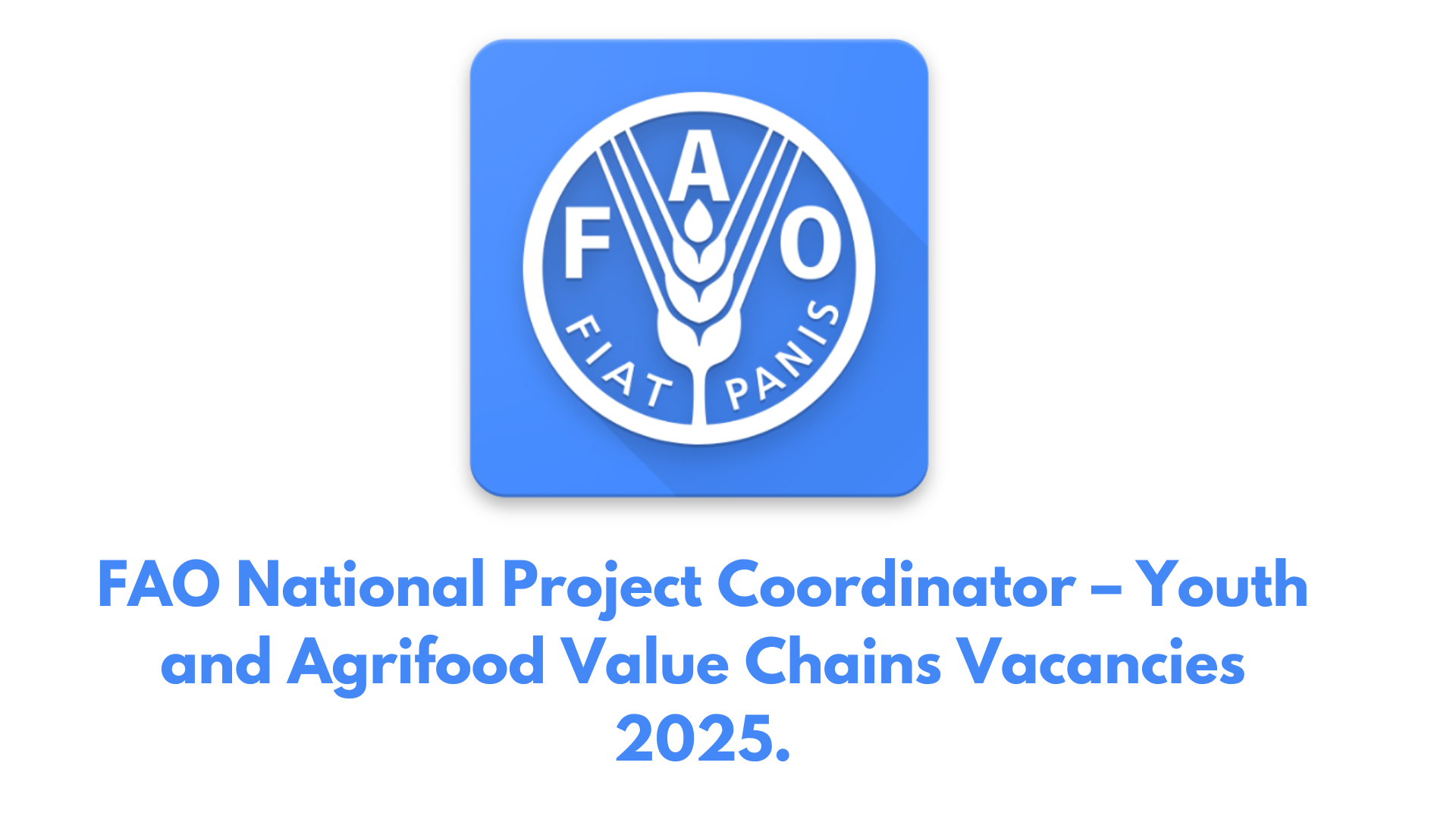 FAO National Project Coordinator – Youth and Agrifood Value Chains Vacancies 2025.