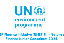 UNEP Finance Initiative (UNEP FI) - Nature and Finance Junior Consultant 2025.