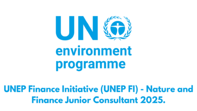 UNEP Finance Initiative (UNEP FI) - Nature and Finance Junior Consultant 2025.