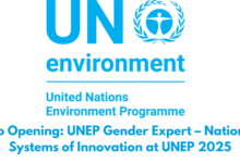 Job Opening: UNEP Gender Expert – National Systems of Innovation at UNEP 2025