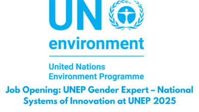 Job Opening: UNEP Gender Expert – National Systems of Innovation at UNEP 2025