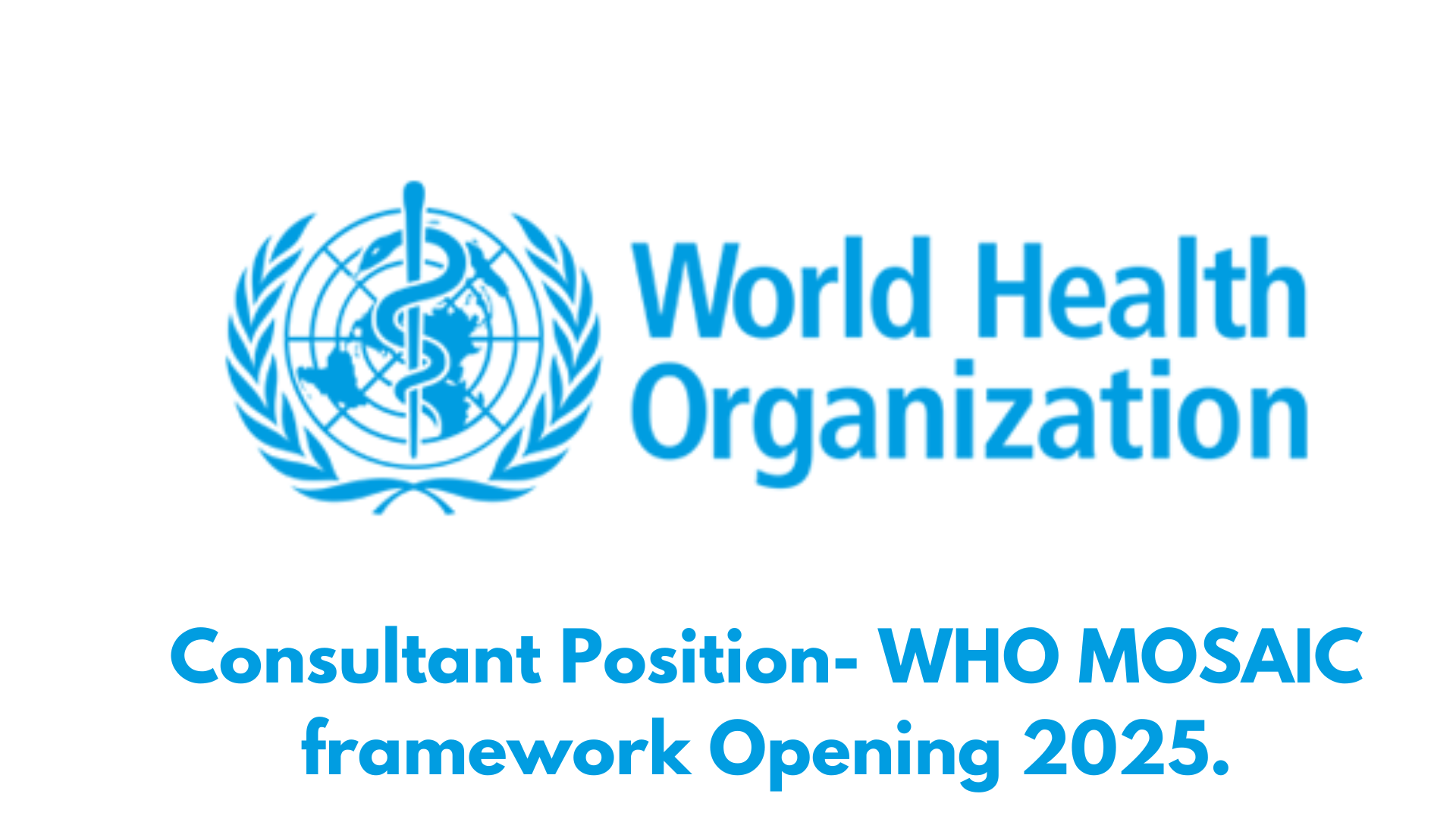 Consultant Position- WHO MOSAIC framework Opening 2025.