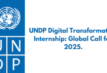 UNDP Digital Transformation Internship: Global Call for 2025.