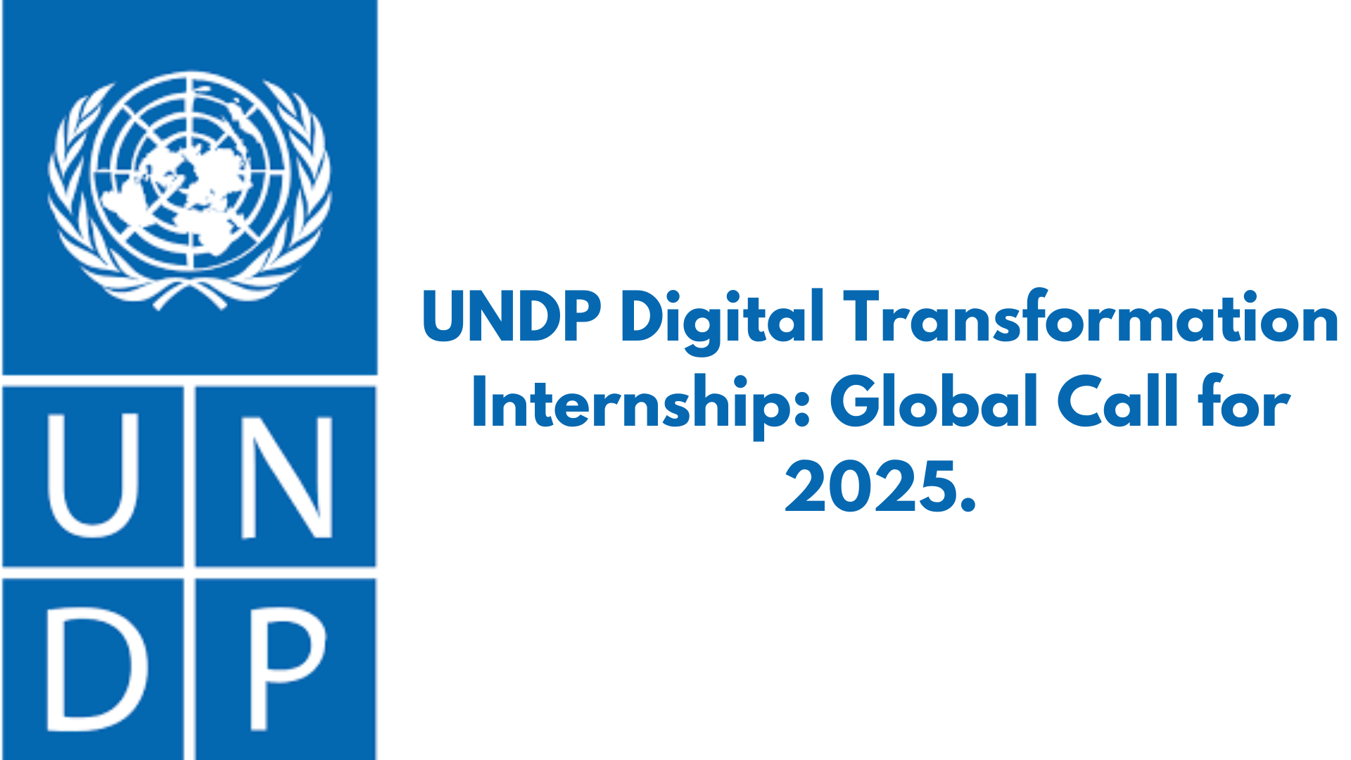 UNDP Digital Transformation Internship: Global Call for 2025.