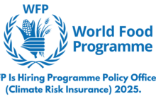 WFP Is Hiring Programme Policy Officer (Climate Risk Insurance) 2025.