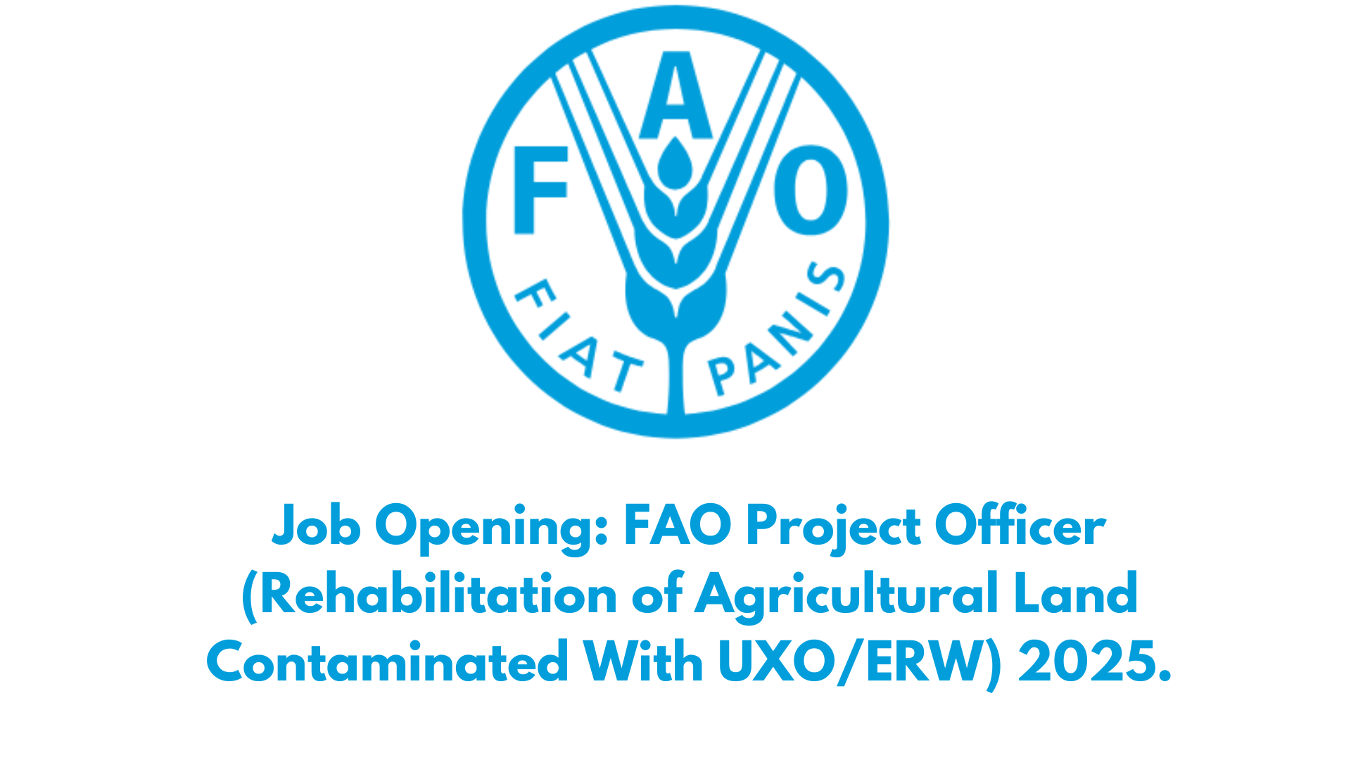 Job Opening FAO Project Officer (Rehabilitation of Agricultural Land Contaminated With UXOERW) 2025.