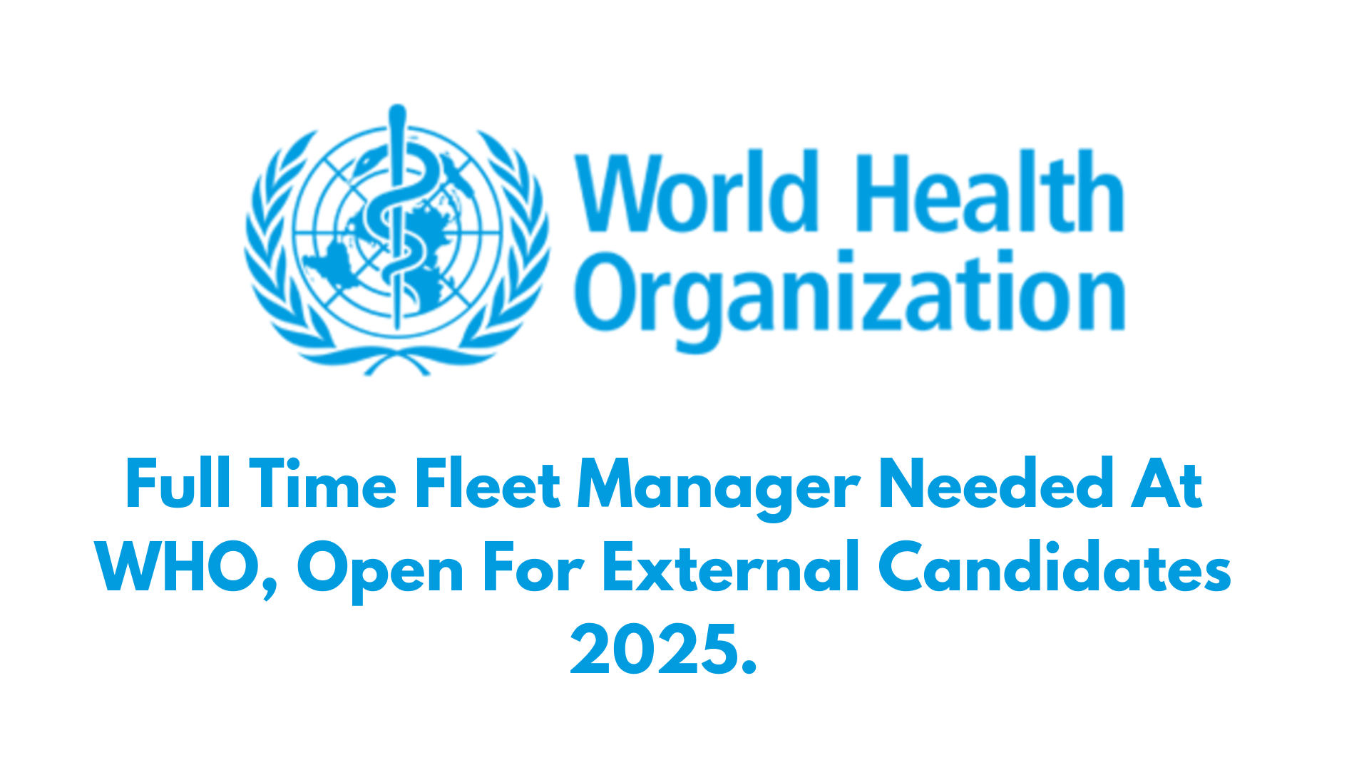 Full Time Fleet Manager Needed At WHO, Open For External Candidates 2025.